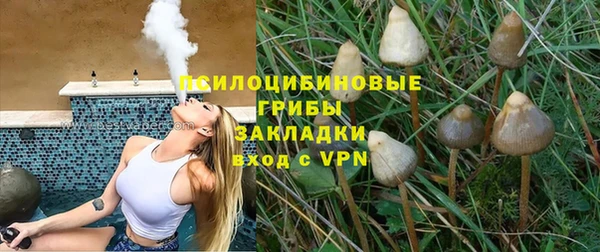 а пвп мука Липки