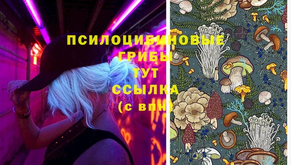а пвп мука Липки