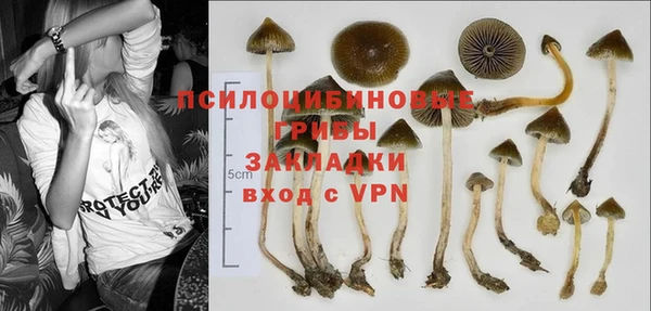 а пвп мука Липки